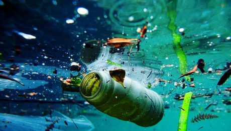 Denizdeki plastik atıklar